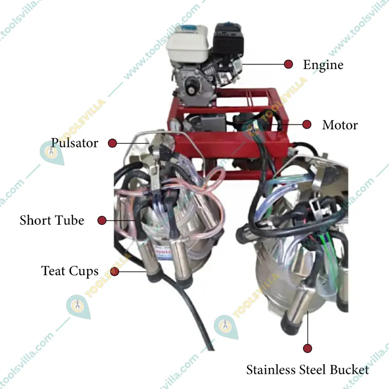 Double Bucket Milking Machine with 5.5 HP Engine and 1.5 HP Motor