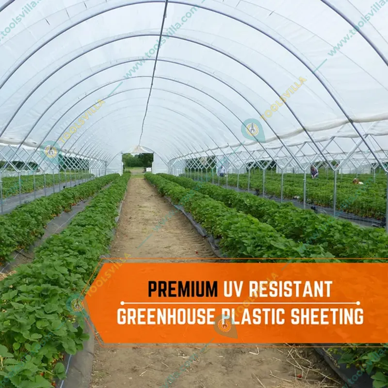 High Quality 200 Micron, 5 Layers Drip Lock Clear Sheet for Greenhouse and Nursery(Size-7 meter x 10 meter)