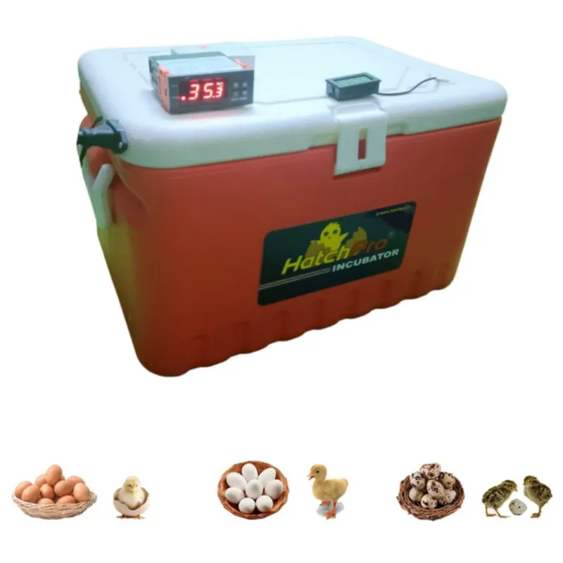 36 Eggs Fully Automatic Incubator With Egg Turning Tray for Chicken, Duck, Quail 