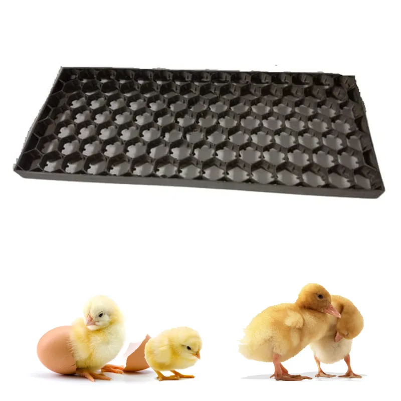 Premium Quality Egg Tray, 101 Egg Capacity