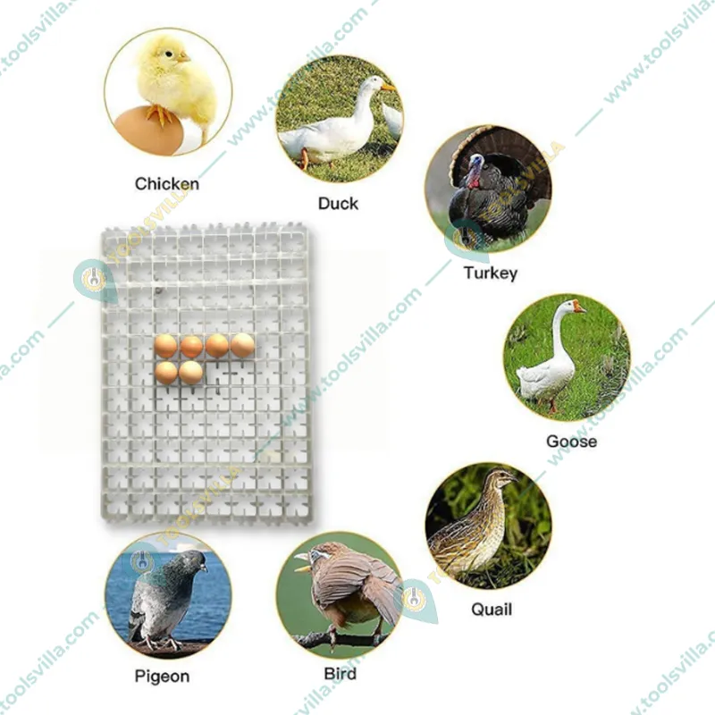 Premium Quality Plastic Egg Tray, 88 Egg Capacity(Pack-1 Pcs)