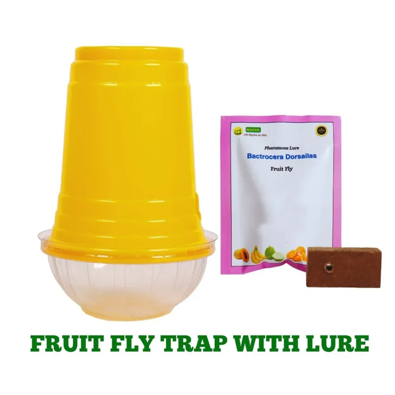 WAVAR Fruit Fly Trap with Bactrocera Dorsalis Lure