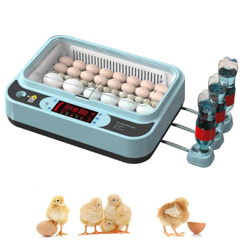 Fully-Automatic Digital Egg Incubator, 64 Eggs Capacity