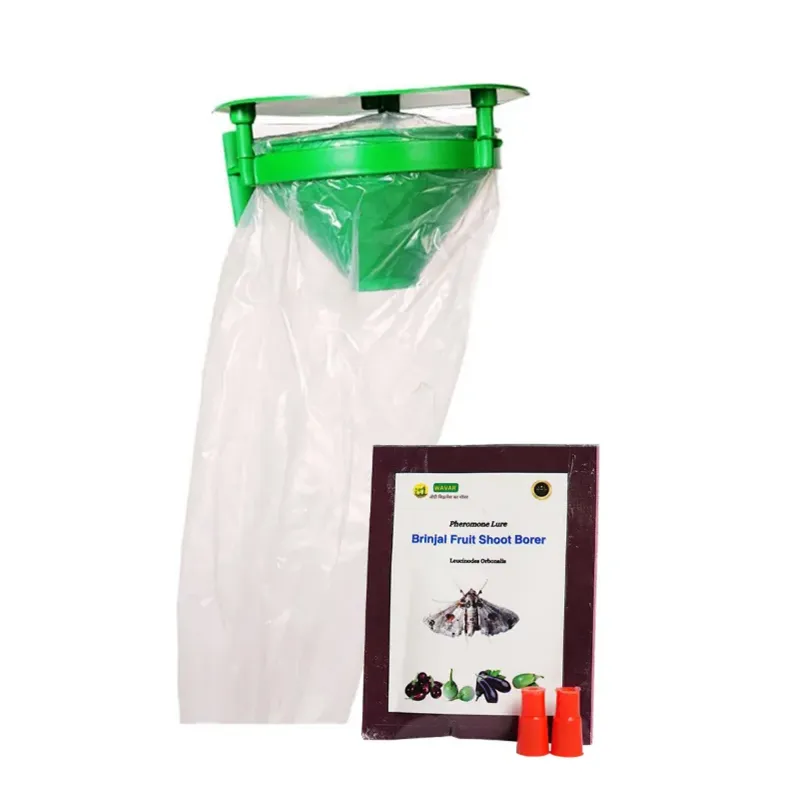 WAVAR Funnel Trap with Brinjal Fruit Shoot Borer