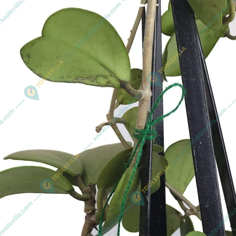 Ecofynd Garden Twines | Jute Plant Ties for Climbers/Crafts/Decoration(CORD003-DGN-050)-Pack of 2