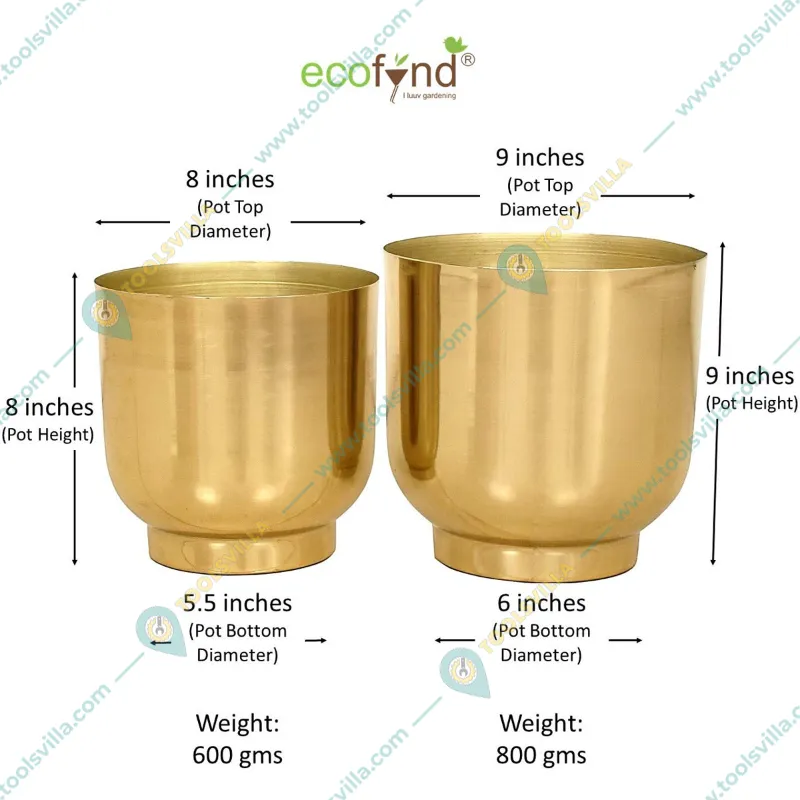 Ecofynd 2 Pcs Eva Golden Metal Plant Pots with Drainage Hole for Interior Decoration, Home Garden Decor Planter