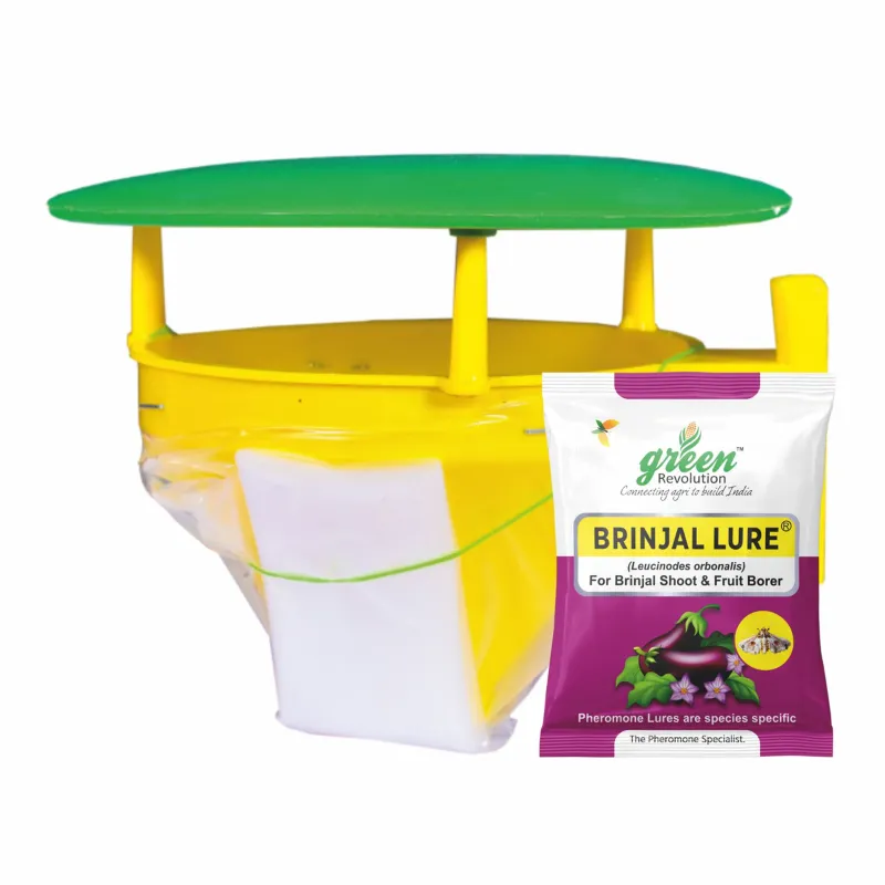 Green Revolution Highly Effective Funnel Insect Trap with Brinjal Insect Lure