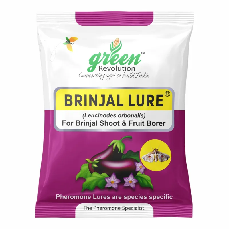Green Revolution Highly Effective Brinjal Insect Lure