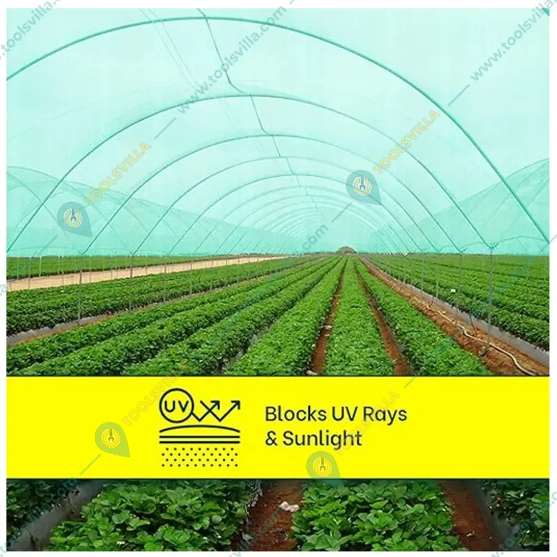 High Quality 90 % UV Sunlight Protected Green Shade Net | Suitable for Home, Garden, Nursery(Size-2.5 meter x 50 meter)