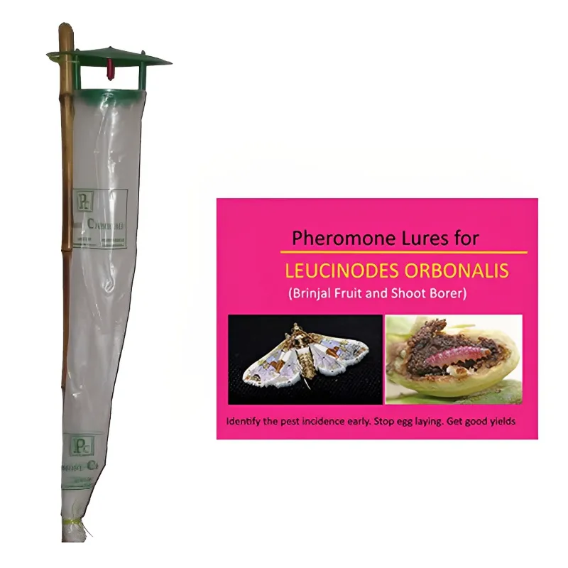  SP Pheromone Trap Funnel with Leucinodes Orbonalis Lure for Brinjal (Trap+Lure)(Pack-25 Pcs)