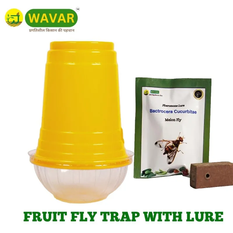 WAVAR Fruit Fly Trap with Cucurbitae Lure(Pack-3 Traps and 3 Lures)