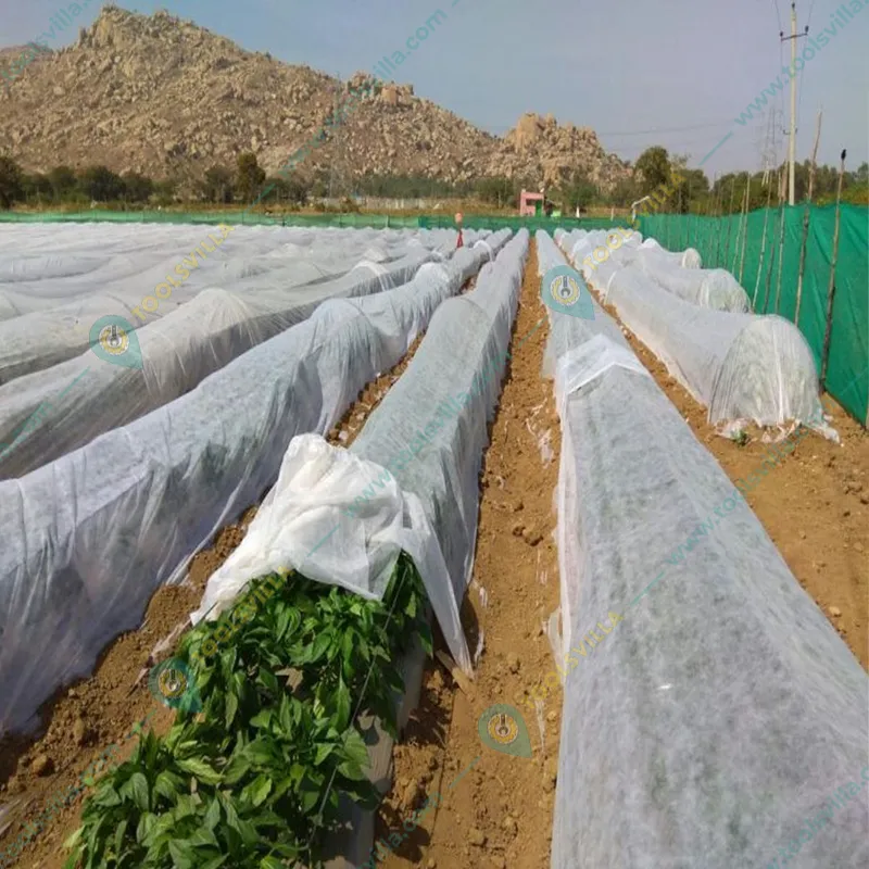 High Quality 20 GSM, 1.6 x 625 meter Non Woven Crop Protection Cover