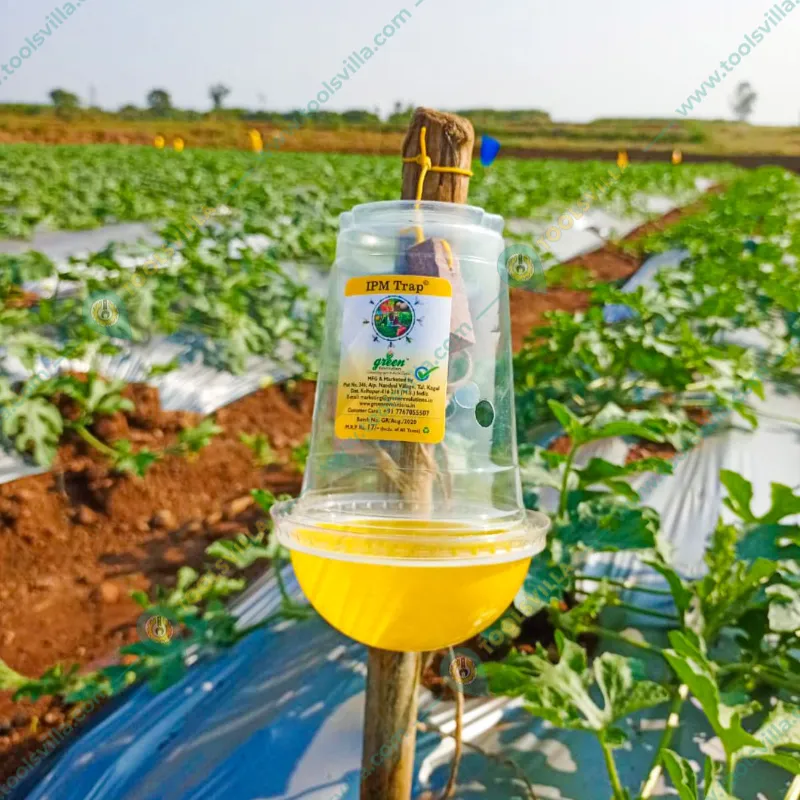 Green Revolution Highly Effective IPM Insect Trap with Melon Fly Lure(Pack-10 pcs)