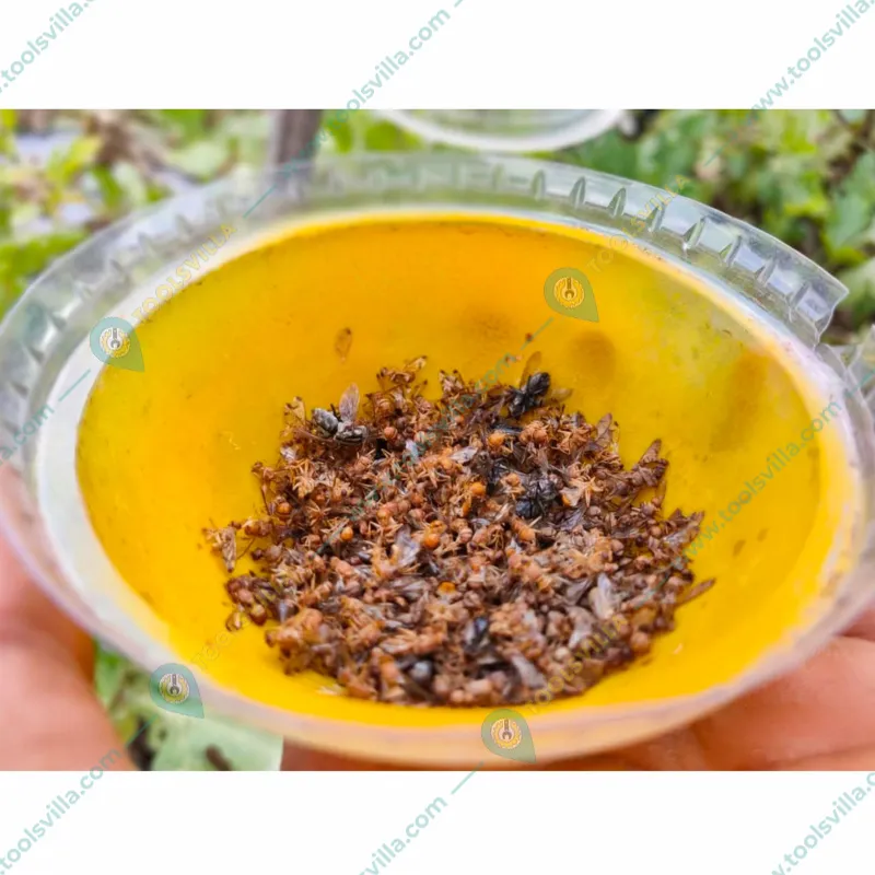 Green Revolution Highly Effective IPM Insect Trap with Melon Fly Lure(Pack-10 pcs)