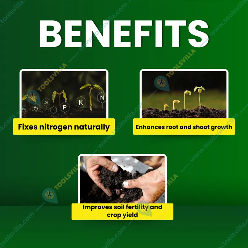 Katyayani Rhizogen | Rhizobium spp | Nitrogen Fixing | Bio Fertilizer | 1 liter(Pack-1 x 1 liter)