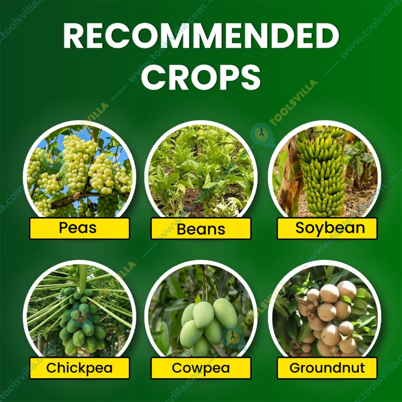 Katyayani Rhizogen | Rhizobium spp | Nitrogen Fixing | Bio Fertilizer | 1 liter(Pack-1 x 1 liter)
