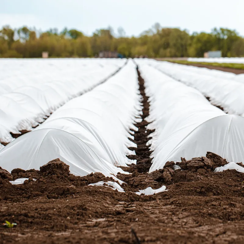 High Quality 23 GSM Crop Protection Cover | Ideal for Agricultural and Gardening Purposes(Size-1.6 x 400 meter)