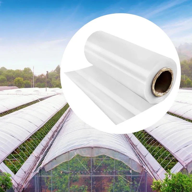High Quality 200 Micron, 5 Layers Drip Lock Clear Sheet for Greenhouse and Nursery(Size-4.5 meter x 10 meter)
