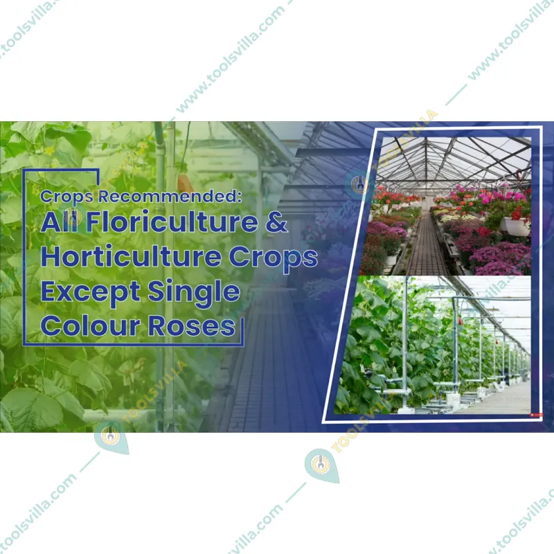 High Quality 200 Micron, 5 Layers Drip Lock Cool Sheet for Reducing Temperature(Size-4.5 meter x 10 meter)
