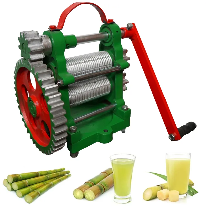  DHANLAXMI Manual Sugarcane Juice Machine with 2 CI Roller