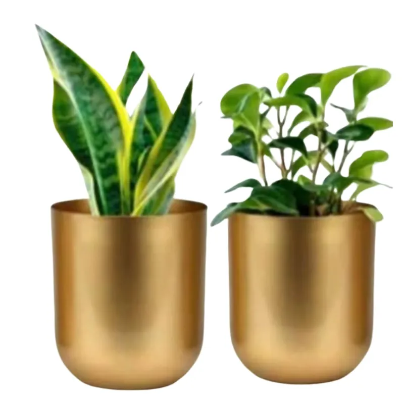 Ecofynd Gold Finish Elegant Metal Planter for Table Indoor Plants - Ideal for Gifting and Home Decor 