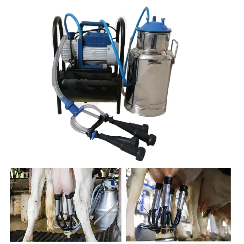 VSAN Agro 0.25 HP Chotta Boy Milking Machine, 15 Liters Bucket Capacity with Free Accessories