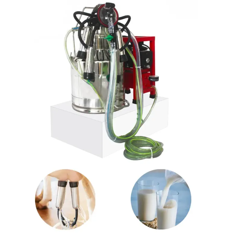 Godhan Gs 120 oil Stainless Steel Milking Machine for Cows with Free Accessories 