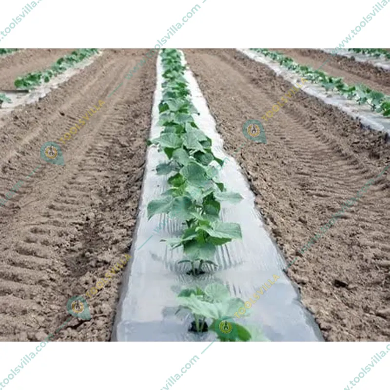 Siddhi 25 micron Black and Silver Mulching Sheet with Center Hole (Size : 3.25 feet x 400 meter)