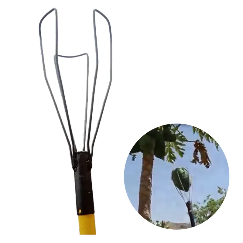 FESTEL Papaya Harvester or Plucker without Pole