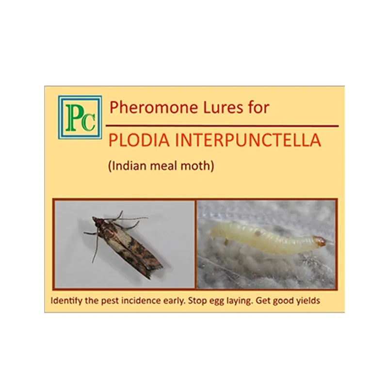 50 Pcs Pheromone Lures For Indian Meal Moth (Plodia Interpunctella)