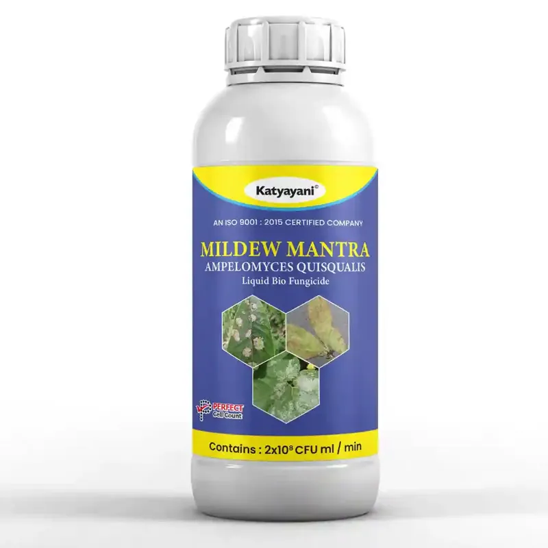 Katyayani Mildew Mantra Ampelomyces Quisqualis Liquid Bio Fungicide Organic Solution For Controlling Plant disease