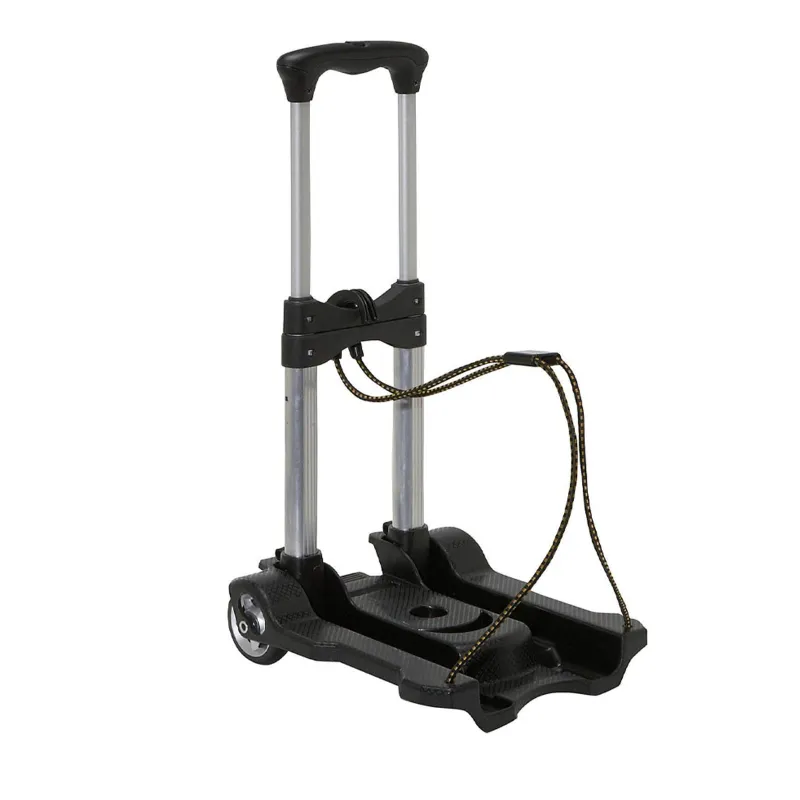 Big Apple 40 Kg Load Capacity Portable Platform Hand Trolley (‎TRL SPL AL 40)
