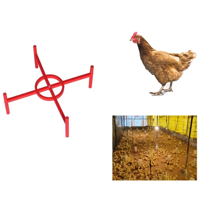 Poultry Chick Drinker Stand