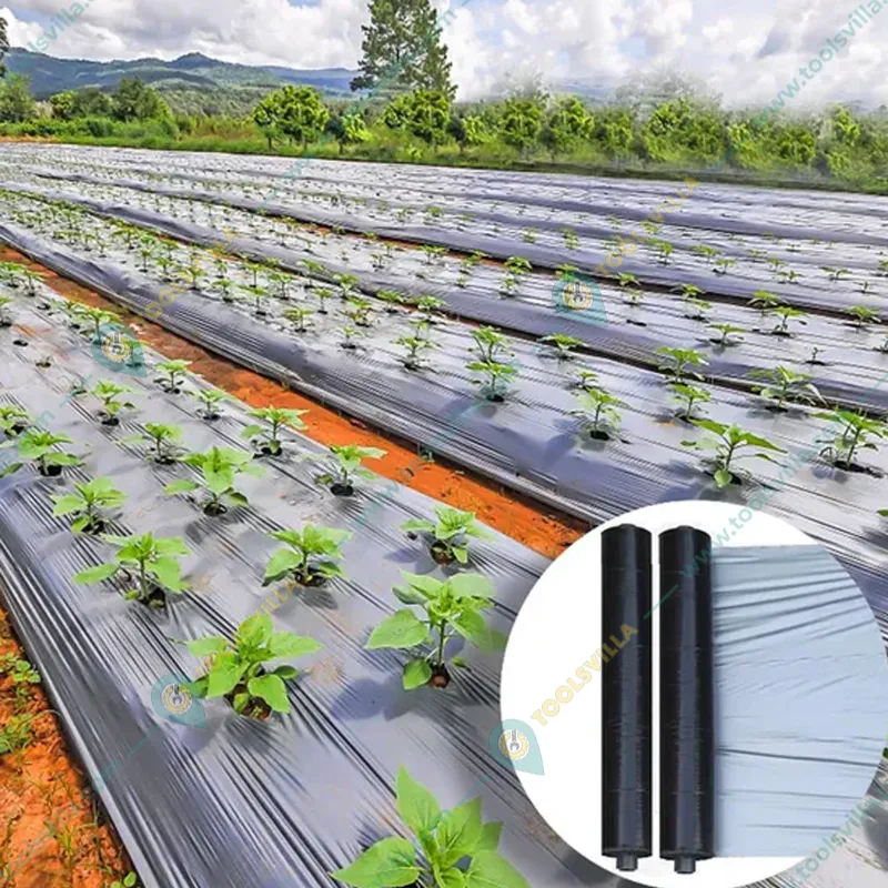 Iris Polymers Premium Quality 1.2 x 600 meter Silver and Black Mulching Sheet for Agriculture, garden and Nursery(Thickness-20 micron)