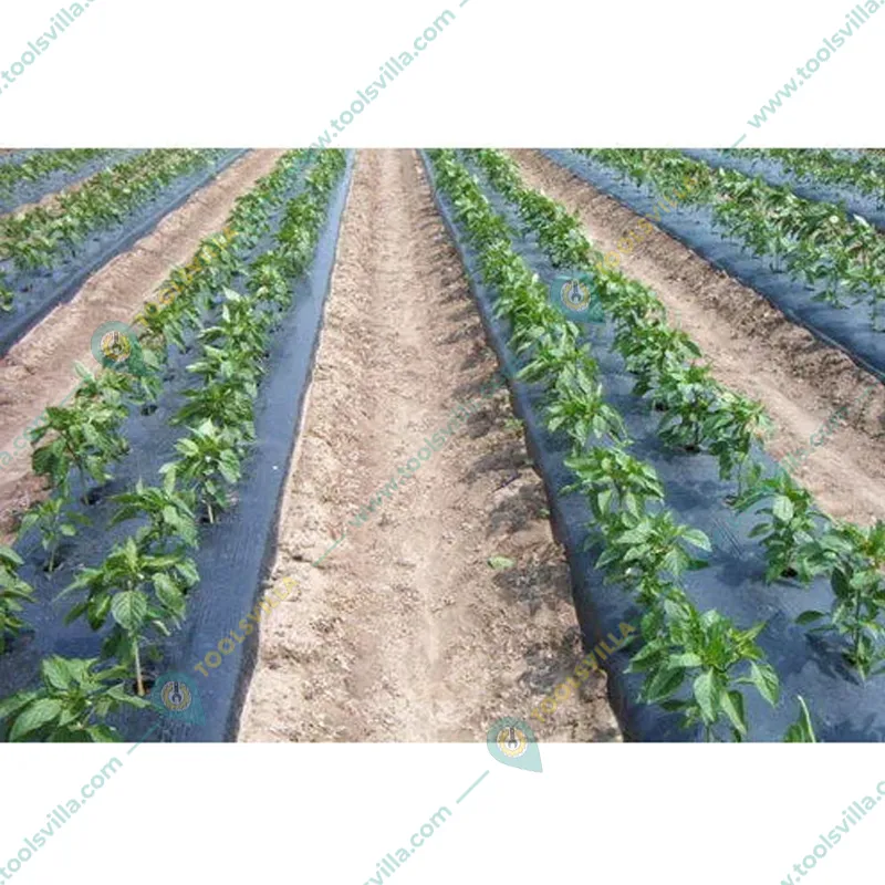 Iris Polymers Premium Quality 1.2 x 600 meter Silver and Black Mulching Sheet for Agriculture, garden and Nursery(Thickness-20 micron)