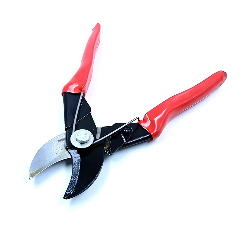 Premium Quality Plant Cutter/Pruning Shear, Garden Tools for Home, Gardening Scissors (Pack of 2 Pieces)