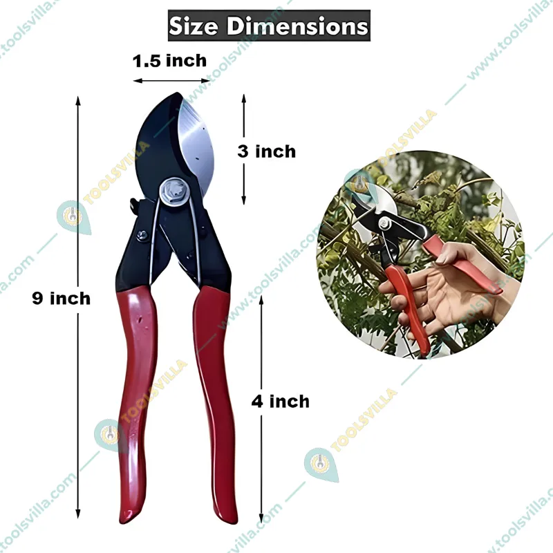 Premium Quality Plant Cutter/Pruning Shear, Garden Tools for Home, Gardening Scissors (Pack of 2 Pieces)