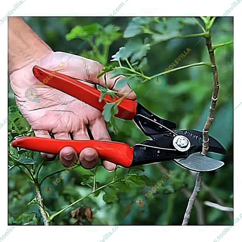 Premium Quality Plant Cutter/Pruning Shear, Garden Tools for Home, Gardening Scissors (Pack of 2 Pieces)