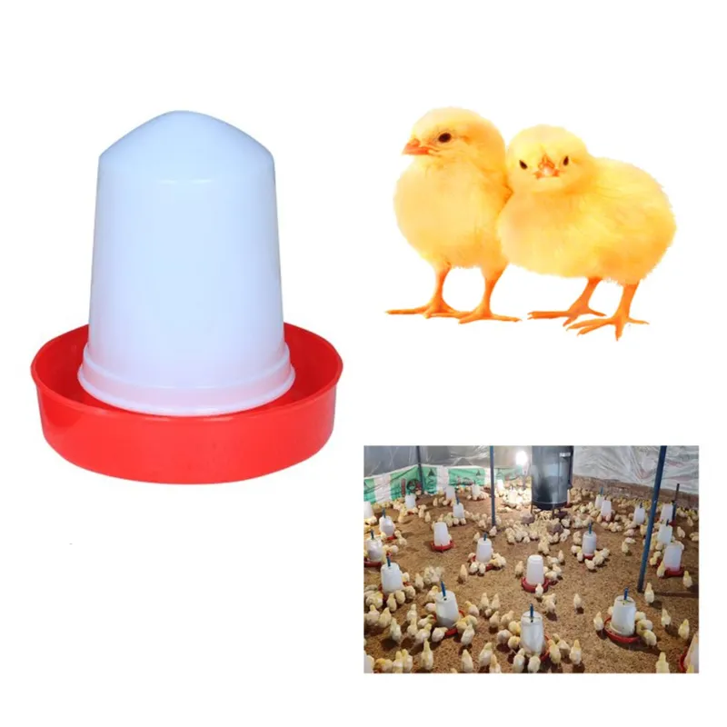 Premium Quality 500gm Baby Feeder(Pack-25 pcs)
