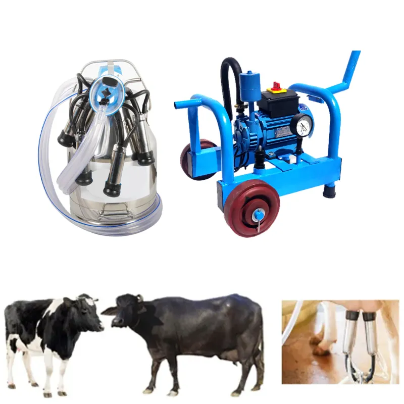 Commercial 20 Liter Single Bucket Milking Machine With Free Accessories 