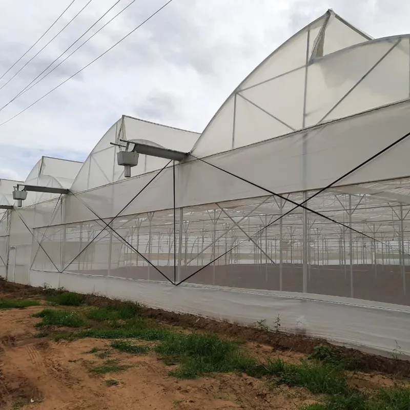 High Quality 140 GSM 1.5 meter x 100 meter Skirting Film for Greenhouse | 4 Years UV Life