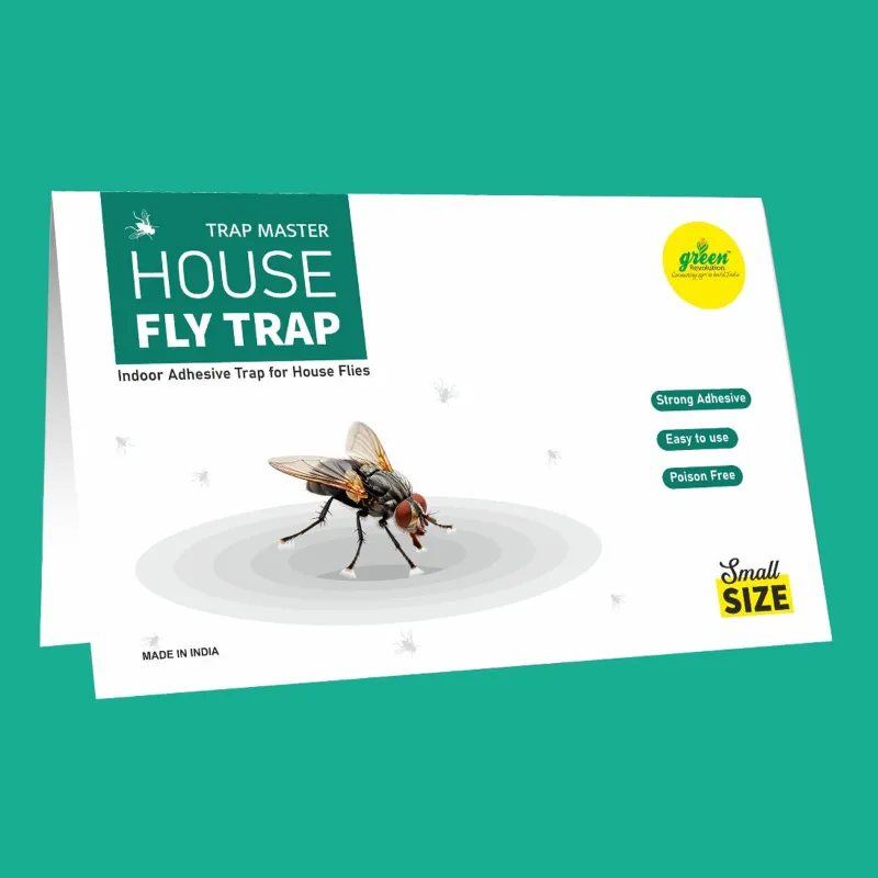 Green Revolution 10 pieces Highly Adhesive Small Size House Fly, Poultry Fly Sticky Trap(Quantity-Pack of 10)