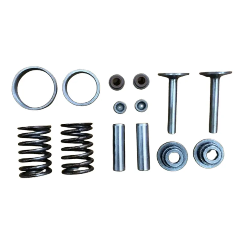 Valve Adjusting Plate, Conduit, Oil Seal, Guide, Seat, Spring, Retainer, Tappet For 5-7 HP (173F) Diesel Power Tiller, 547