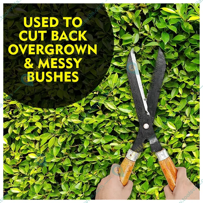 Jaiveer Set of 8 Garden Tools - Trowel, Transplanter, Garden Fork, Cultivator, Weeder, Pruner, Hedge Shear and Garden Gloves
