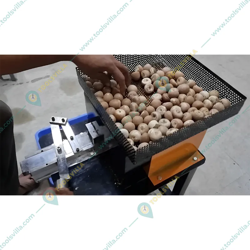 Premium Quality Betel Nut Cutting Machine, with 0.5 HP Motor