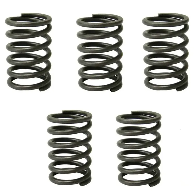 High Quality Valve Spring for Agriculture Water Pump (Pack of 5 Pcs)
