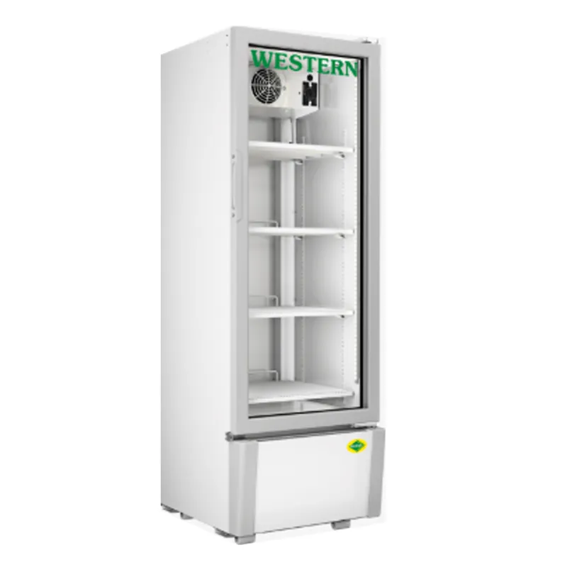 WESTERN 216L Single Glass Door Visi Cooler, SRC280HC-GL with 1 Year Warranty