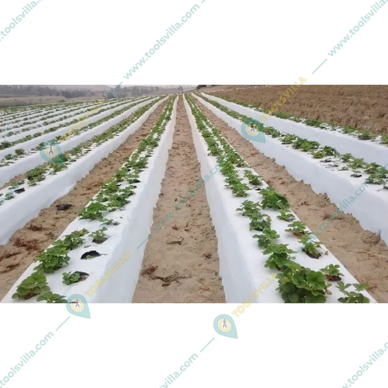 Iris Polymers Premium Quality 1.2 x 400 meter Black and White Mulching Sheet with 3 months Warranty for 3 months Crops