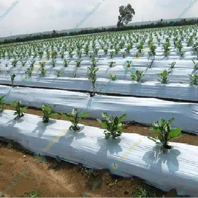 Iris Polymers Premium Quality 1.2 x 400 meter Black and White Mulching Sheet with 3 months Warranty for 3 months Crops
