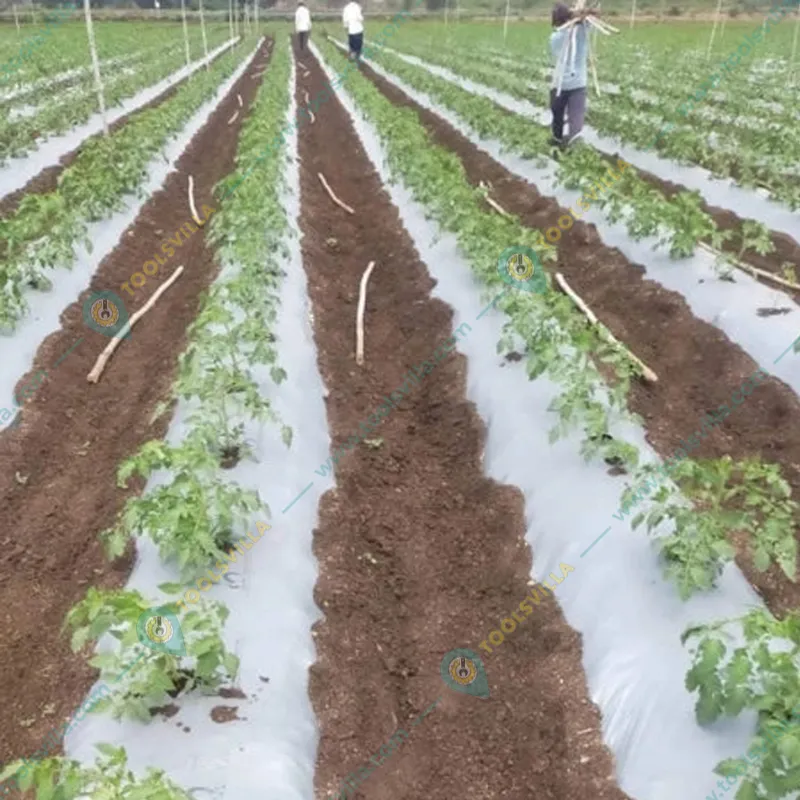 Iris Polymers Premium Quality 1.2 x 400 meter Black and White Mulching Sheet with 3 months Warranty for 3 months Crops